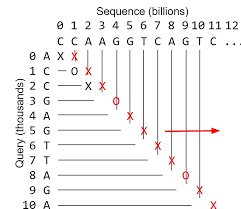 c - What is the time complexity of the given BLAST? - Stack Overflow