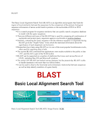 Blast - notes - BLAST The Basic Local Alignment Search Tool (BLAST) is an  algorithm and program that - Studocu