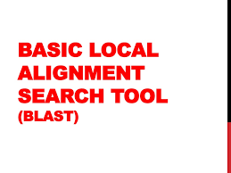 PPT - Basic Local Alignment Search Tool (BLAST) PowerPoint Presentation -  ID:8925503