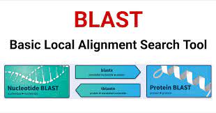 BLAST (Bioinformatics)- Definition, 5 Types, Steps, Uses