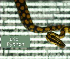 A Beginner's Guide to BioPython