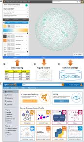 Frontiers | Translating desktop success to the web in the cytoscape project