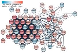 Cytoscape StringApp: Network Analysis and Visualization of Proteomics Data  | Journal of Proteome Research