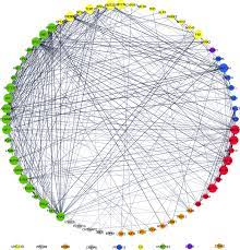 STRING Network produced in Cytoscape Larger nodes indicate hub genes. A...  | Download Scientific Diagram