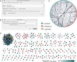 Cytoscape stringApp 2.0: Analysis and Visualization of Heterogeneous  Biological Networks | Journal of Proteome Research