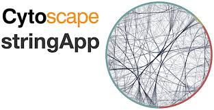 Cytoscape stringApp 2.0: Analysis and Visualization of Heterogeneous  Biological Networks | Journal of Proteome Research