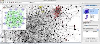 Analysis and Visualization of Biological Networks with Cytoscape