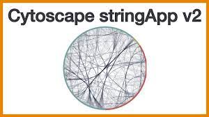 Cytoscape stringApp v2: Brief introduction to new features for  heterogeneous networks and enrichment - YouTube