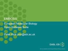 Emboss | PPT
