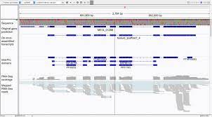 A typical window in the Integrative Genomics Viewer (IGV) software 65.... |  Download Scientific Diagram
