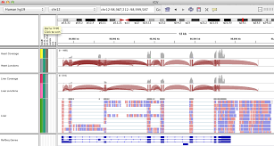 Integrative Genomics Viewer