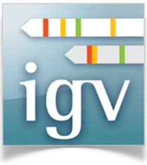 Software Application