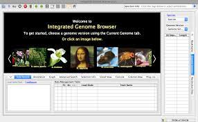 Integrated Genome Browser - Wikipedia