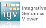 Variant Viewer - IGV :: HEK293