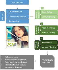 High-quality whole-*ome sequencing plus bioinformatics with  omics2view.consulting GbR