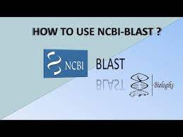 How to use NCBI-BLAST #NCBI-BLAST #Bioinformatics #BLAST - YouTube