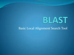 BLAST | PPT