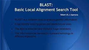 What is BLAST? Basic BLAST search What is BLAST? - ppt download