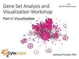Gene Set Analysis and Visualization Workshop. Part II: Visualization | PPT