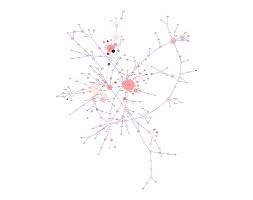 Analysis and Visualization of Biological Networks with Cytoscape