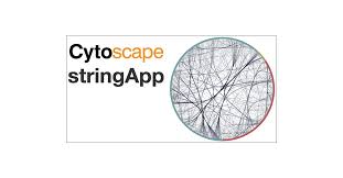 Cytoscape stringApp 2.0: Analysis and Visualization of Heterogeneous  Biological Networks | Journal of Proteome Research