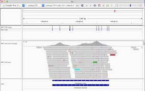 How to Get Started Using IGV