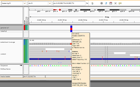 Integrative Genomics Viewer