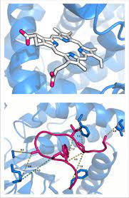 Making Pretty Pictures with PyMOL | Oxford Protein Informatics Group