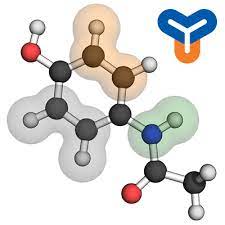insediamento Siesta Pascolo pymol ball and stick lucidatura animale alga  marina